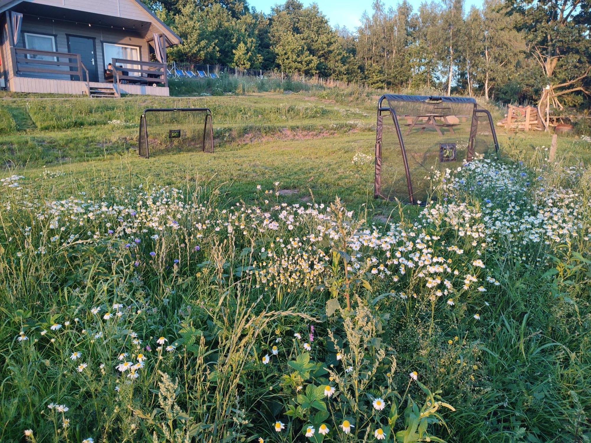 Widoki Rusinowo Domki Letniskowe Buitenkant foto